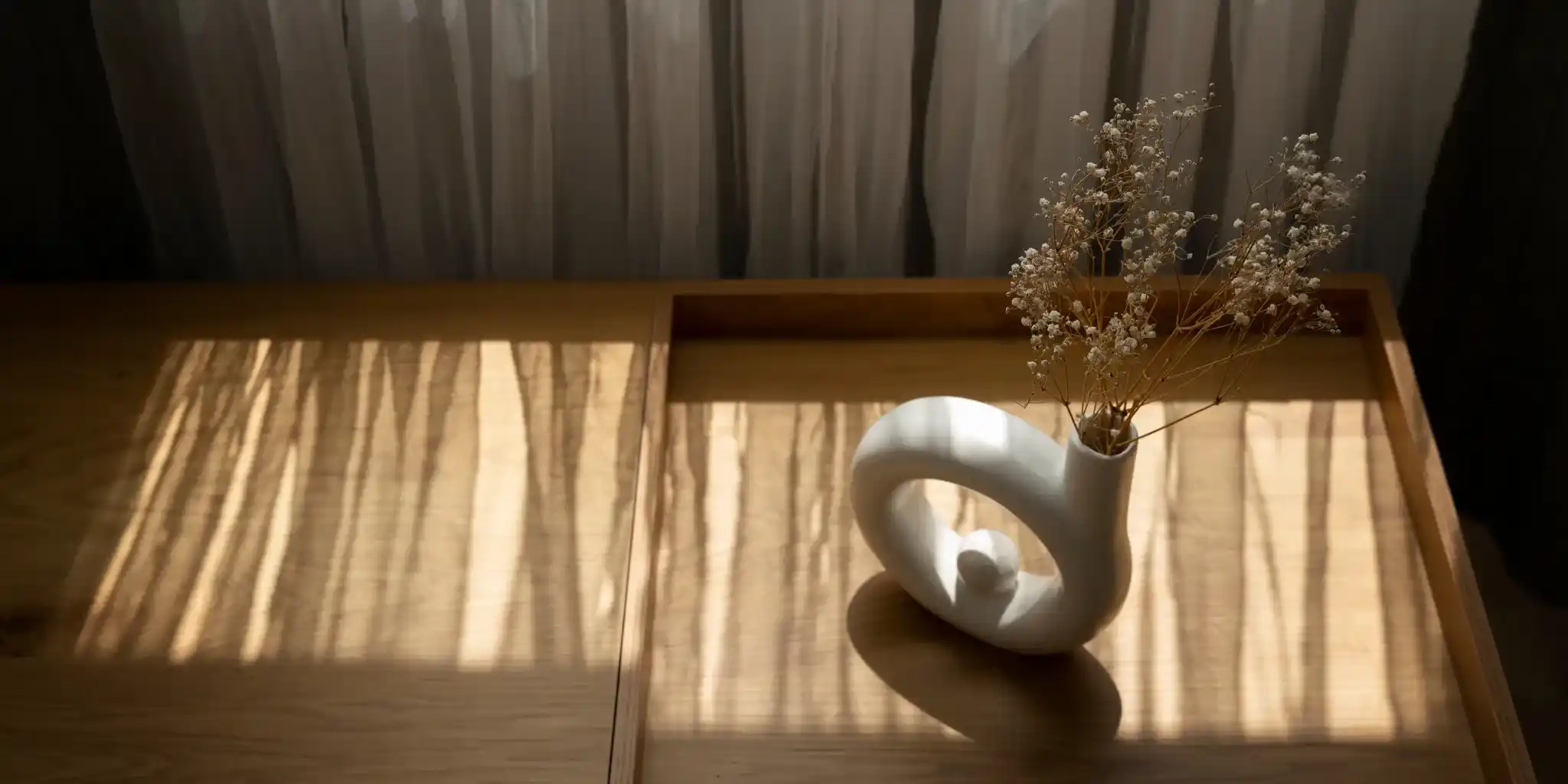 choix de plantes 2 évaluer la lumière naturelle pour choisir une plante d’intérieur